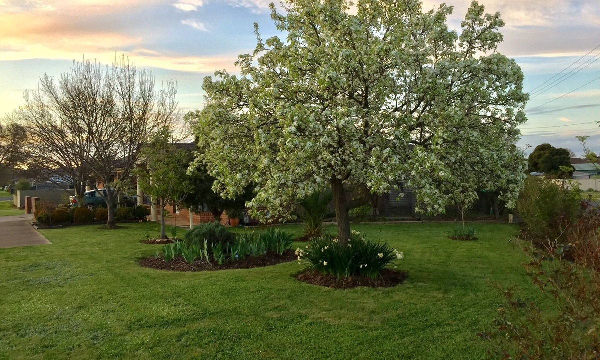 Maryborough Apartment | Bird Abode Accommodation in central Maryborough