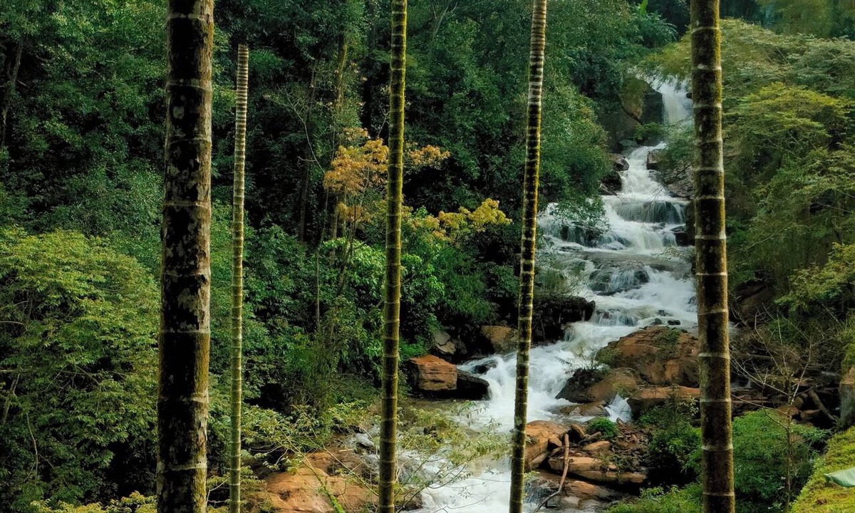 Katakeri Rural Other | Coorg Silent Stay - Homestay