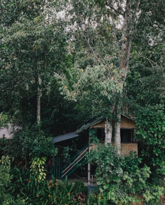 Devikolam House | Fab - Bamboo Hut with Open Shower