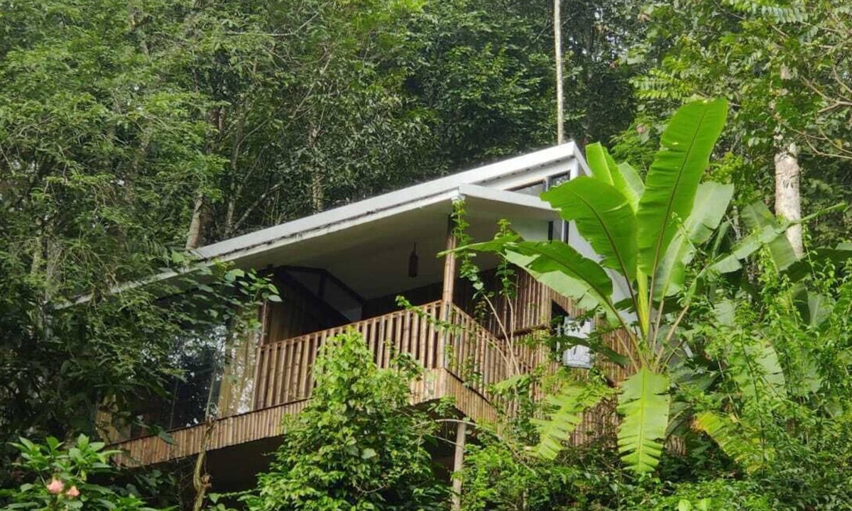 Kunchithanny Cottage | Illi Villa -Bamboo claded cottage in Kunchithanny: Where Munnar comes to exhale.