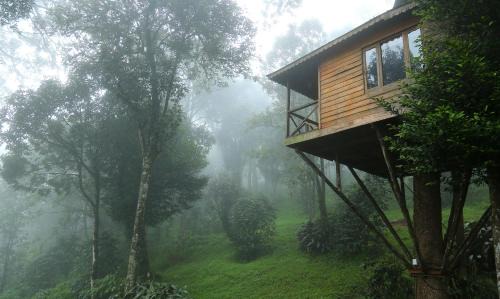 Munnar Resort | Nature Zone Munnar - A Real Jungle Resort - Authentic Tree House and Premium Tents