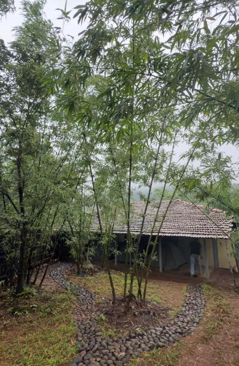 Ambavna House | Nisargshala's Cozy Cottages