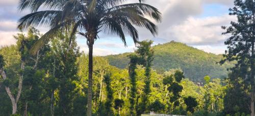 Kodaikanal Bed & Breakfast | SM GARDENS Nature Stay Kodaikanal