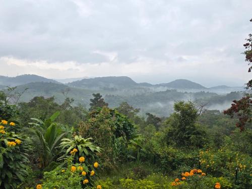 Elappara Hotel | Sumeru valley vagamon