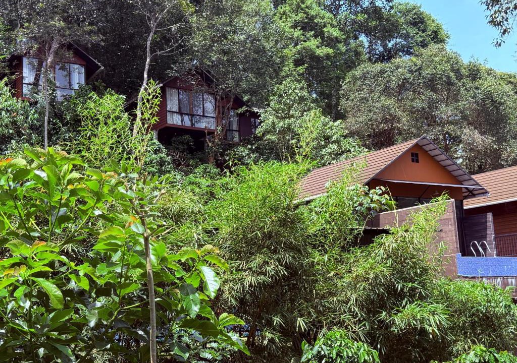 Vythiri Villa | Tree6poolvilla