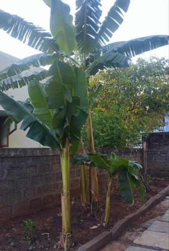 Kolhapur House | Visava homestay