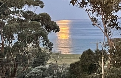 St Leonards Apartment | Bluff House Studio 2min beach.Short term Exclusive 2 guests. Coffee Machine.