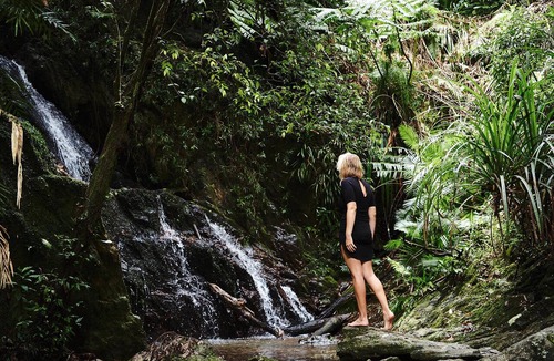 Lower Daintree House | Daintree Ecolodge