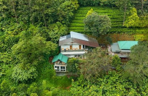 Kunchithanny Villa | ELIVAAS Signature Kayyath Valley 4-BHK Villa With Scenic Mountain View , Private Outdoor Pool, Gym And In-House Tea Garden