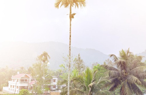 Pirmed House | Ganges Premium Villa Thekkady