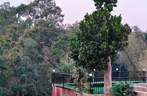 Sulthan Bathery House | Greens Vista Homestay
