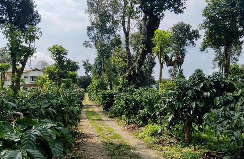 Madikeri House | Heights Farm Stay - Nature Stay Near Madikeri