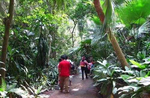 Madikeri House | Heights Farm Stay - Nature Stay Near Madikeri