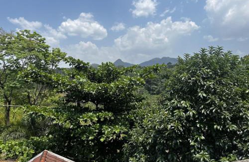 Kalpetta Villa | Hidden Serene