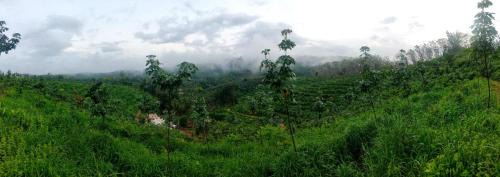 Sullia Cabin | Hillocks and The Spring