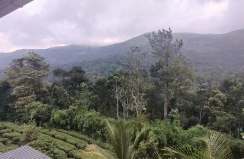 Thankamony part House | Homestay inn