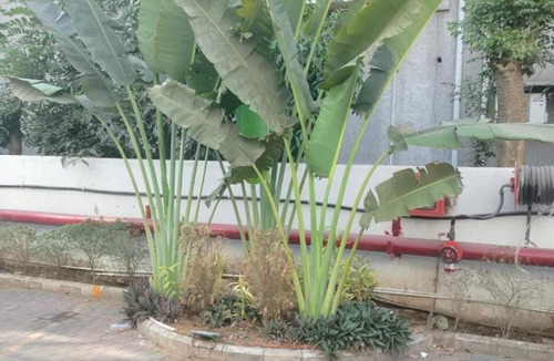 Ankleshwar Hotel | Hotel Mahavir