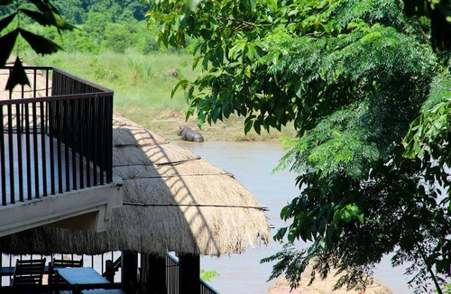 Sauraha Hotel | Jungle Sunset Camp