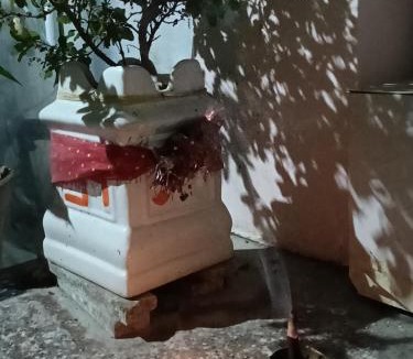 Rishikesh House | Krishna's Paradise