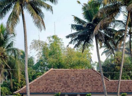 Kainakary House | Kuttanad Kayak Club