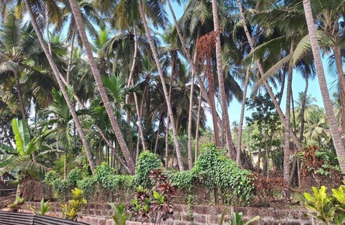 Ratnagiri House | Madhuri Vijay Homestay