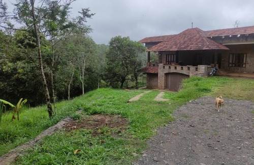 Thekkady Bed & Breakfast | Misty Views Mountain Retreat
