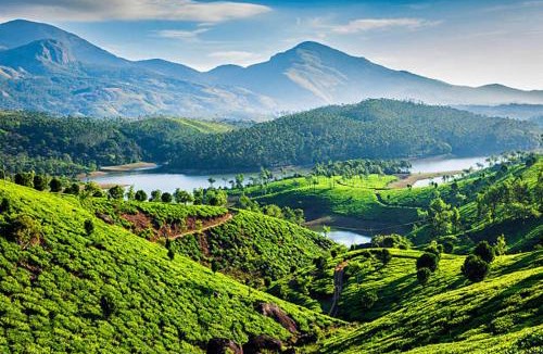 Pallivasal House | Munnar Plantation Villa