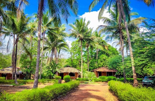 Sancordem Other | Nature's Nest Goa