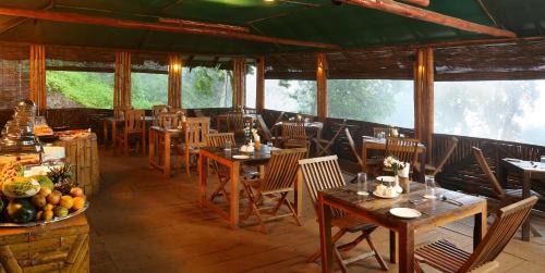 Munnar Resort | Nature Zone Munnar - A Real Jungle Resort - Authentic Tree House and Premium Tents