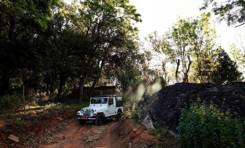 Munnar Resort | Nature Zone Munnar - A Real Jungle Resort - Authentic Tree House and Premium Tents