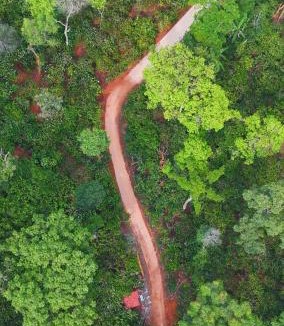 Virarajendrapet House | Navut Homestay Coorg