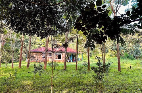 Madapura House | Nephila Farm | CA2 | Quiet | Remote | Nature Haven