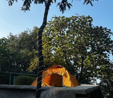 Kadadhe Other | NESTORY forest retreat