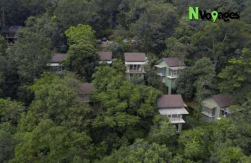 Vayittiri House | Nvoyages Wayanad
