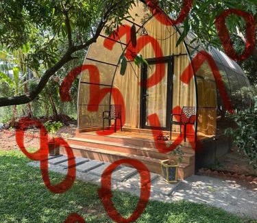 Quilon House | Riva farmstay