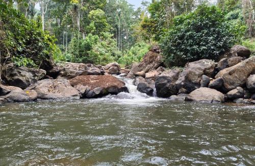 Devikolam Resort | Riverwood Cottages