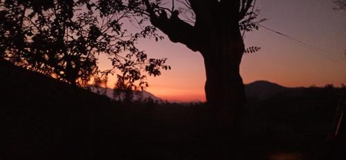 Sulthan Bathery Villa | Royal Heaven Wayanad