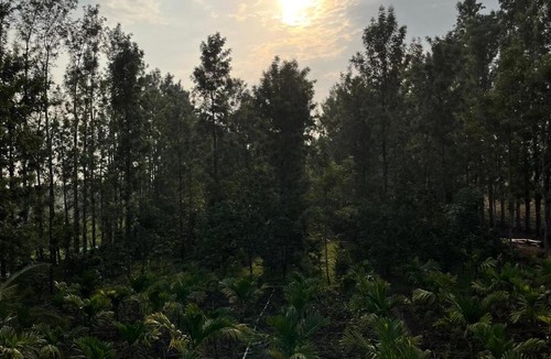 Piriyapatna Apartment | S R Retreat farm home stay