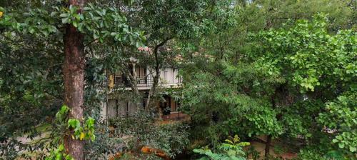 Kunnathidavaka Resort | Safari Hills Vythiri