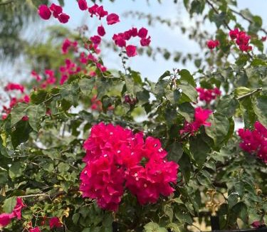 Shahapur Villa | Shakuntal