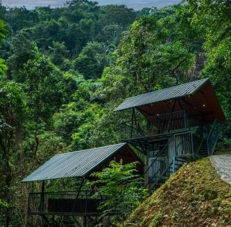 Elappara Resort | Song Of The Trees Jungle Experience Stay Kutitkanam by LexStays