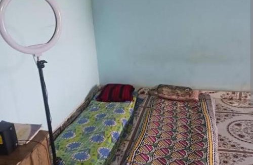 Junnar Other | Tent City Resort Camping Malshej Junnar Agro Tourism & Farm