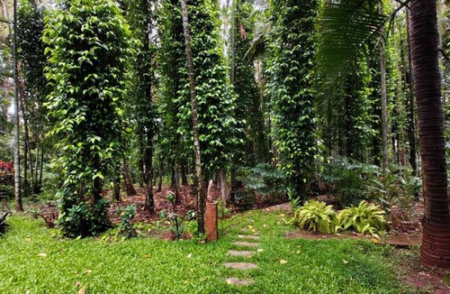 Agara Cottage | the "Farm Estate Social' Cozy cottage in a lush serene estate