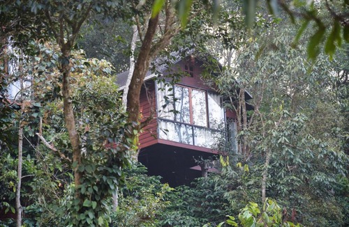 Vythiri Villa | TREE6 WAYANAD