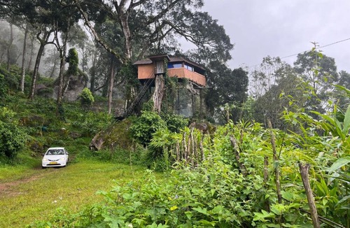 Devikolam House | Treefort Junglestay Munnar
