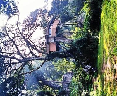 Devikolam House | Treefort Junglestay Munnar