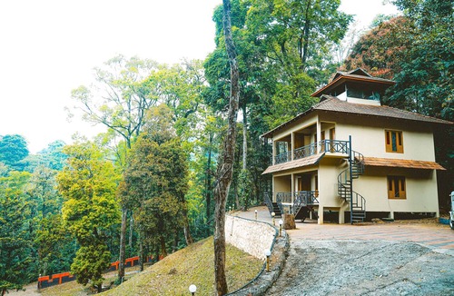 Kunnathidavaka Hotel | Vythiri Wild Forest Resort