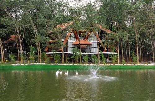 Vythiri Hotel | Wayanad Vista Palm View Homes