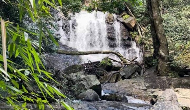 A private waterfall, a coffee farm and best home food in Coorg - all to yourself
