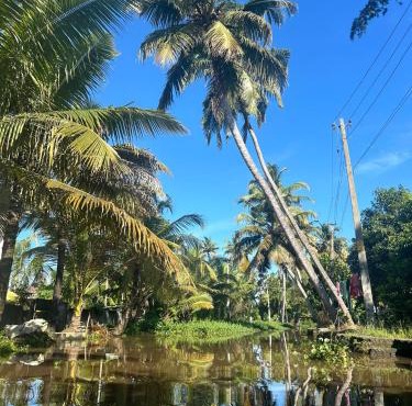 Birdwatching and kaya king for backpackers